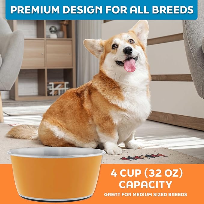 Master Pet Supply Stainless Steel Dog Bowls Set of 2 (32 Oz Each) with Non-Slip Rubber Base - Mango Tango - Basic Dog Food Bowl Water & Food Bowls for Small Medium Large Dogs & Cats, Metal Dish