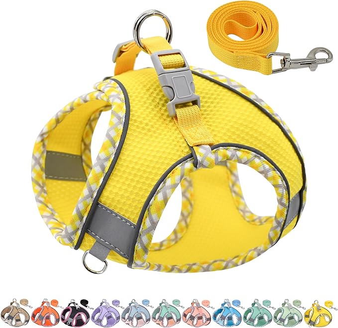 AIITLE Dog Harness and Leash Set - Ultra-Comfortable XXS-XL Vest with Strong Magic Tape & Glow-in-Dark Reflective Strips, Chafe-Free for Teddy, Schnauzer (Yellow, M)