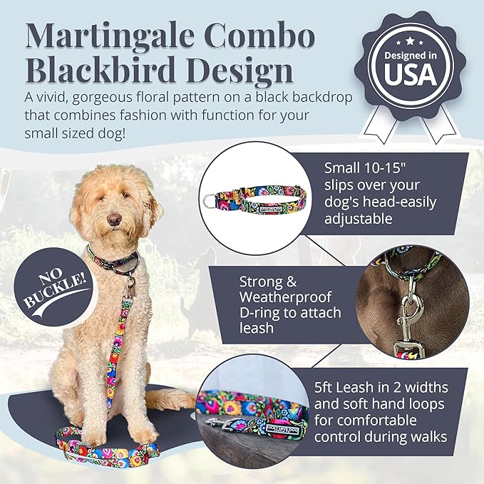 Lucky Love Dog Martingale Collar and Leash Set, Premium No Slip Collar and Leash Set, Great for Whippets, Greyhounds, and More (Blackbird, Small - Combo)