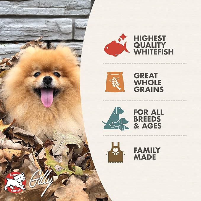 Fromm Four-Star Nutritionals Whitefish & Potato Dog Food - Premium Dry Dog Food - Whitefish Recipe - 4 lb