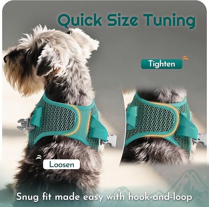 Eagloo Small Dog Harness and Leash Set, Step in Puppy Vest with Breathable Soft Mesh, Walking Reflective Pet Harness for Small Dogs, Forest Green, M
