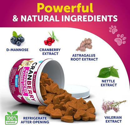Dog UT Treats - Cranberry Chews for Dogs - Urinary Tract & Bladder Support Supplement with Natural Cranberry Extract - Tasty 120 Soft Bites for Daily Wellness with Fish Oil, Pumpkin, D-Mannose