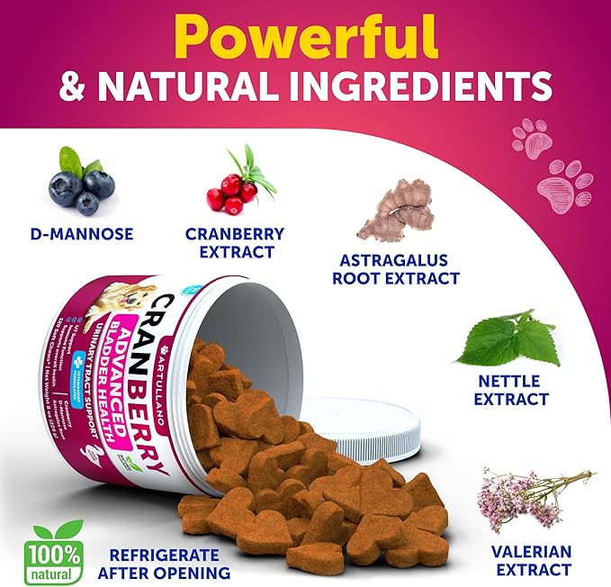 2 Pack (240 Chews Total) Dog UT Treats - Cranberry Chews for Dogs - Urinary Tract & Bladder Support Supplement with Natural Cranberry Extract - Tasty Soft Bites with Fish Oil, Pumpkin, D-Mannose