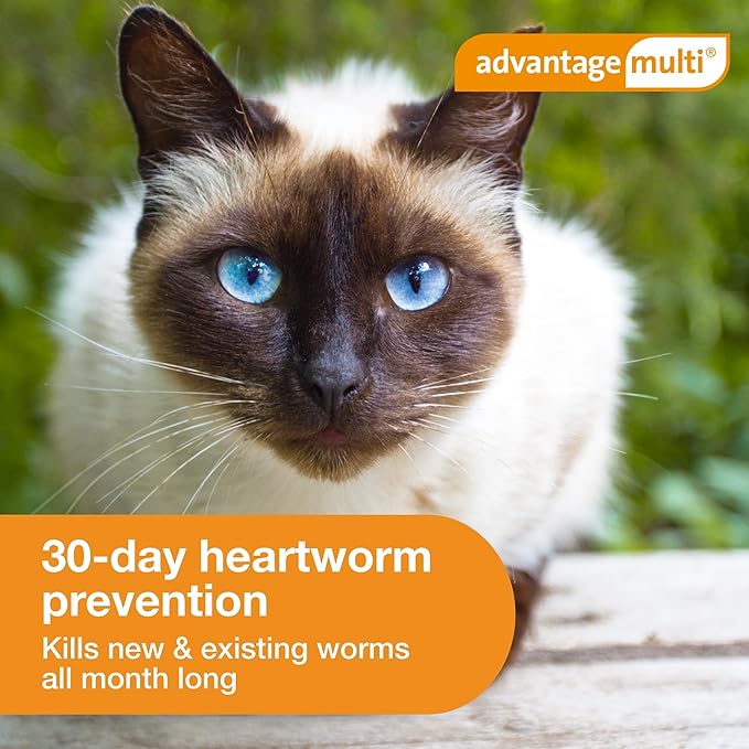 Advantage Multi for Cats 5-in-1 Heartworm Prevention | Kills Fleas & More | Cats 5.1-9 lbs. | 6-Month Supply