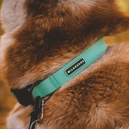 Wilderdog Waterproof Dog Collar - Repels Water & Dirt - Small 11"-15" - Seafoam