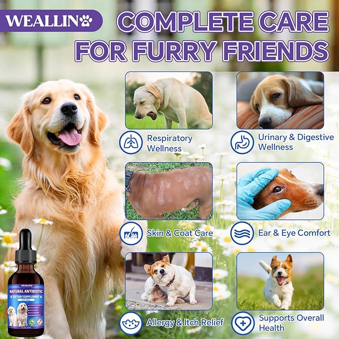 Dog Antibiotics Support - 2PCS Natural Antibiotics Care for Dogs Herbal Supplement for Cough Allergy Itch Relief Immune Support Dog UTI Comfort for All Breeds & Ages - 120 ml/4 Fl Oz Bacon Flavor