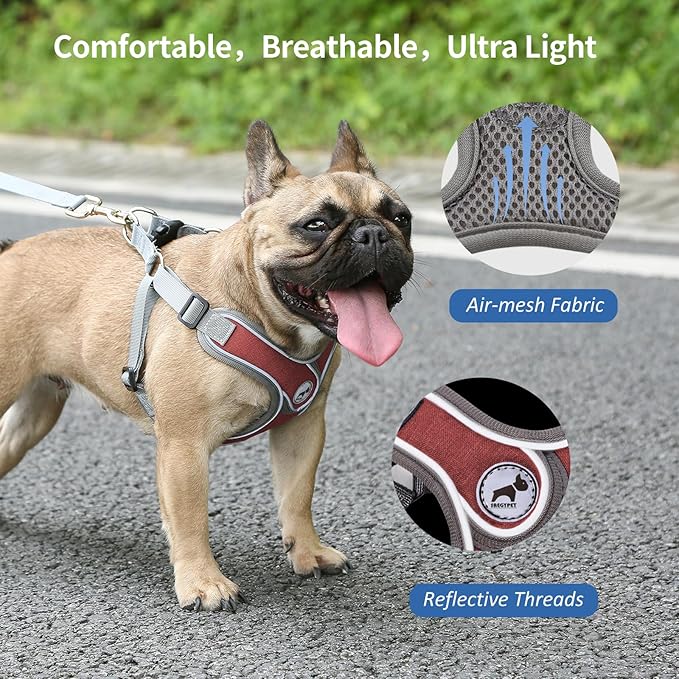 Dog Harness with Leash Set, No Pull Adjustable Step in Collars Frenchie Harness Vest for Small Medium Dog Walking and Running (S, Red)