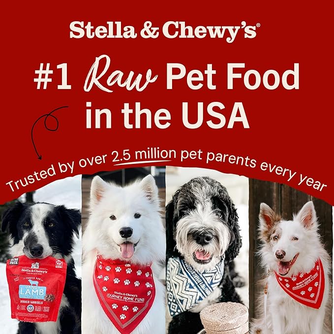 Stella & Chewy's Freeze-Dried Raw Chicken Heart Dog Treats - Single Ingredient, No Additives - Premium Training Treats - Perfect For Picky Eaters - 11oz Bag