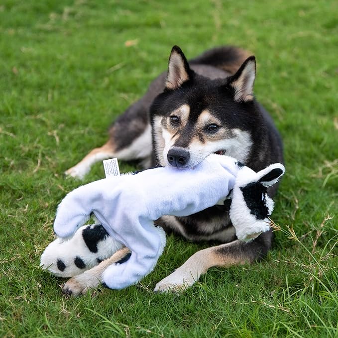 Best Pet Supplies Squeaky Dog Toys with Soft Durable Fabric for Small, Medium and Large Pets Interactive Toy for Indoor Play, Supports Active Biting and Play - Sheep, Cow, Small