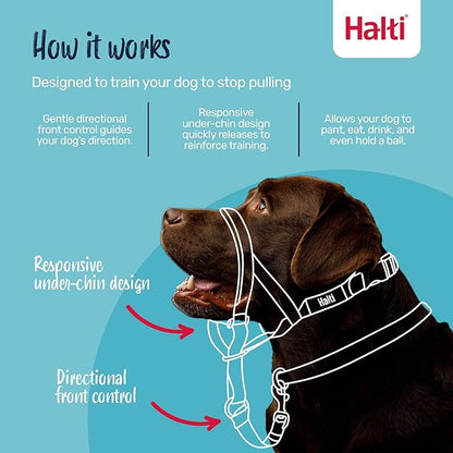 Halti Headcollar - Stop Your Dog Pulling on The Leash. Adjustable, Reflective and Lightweight, with Padded Nose Band. Dog Training Anti-Pull Collar for Medium Dogs (Size 2, Desert Sand)