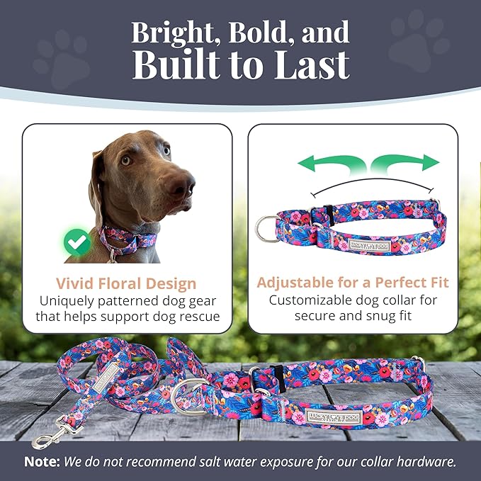 Lucky Love Dog Martingale Dog Collar & Leash - Adjustable, No-Slip, Durable, Comfortable, Soft Webbing, & Stylish Patterned Collar & Leash Set for Male and Female Dogs - Zuzu Combo, Small
