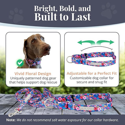 Lucky Love Dog Martingale Dog Collar & Leash - Adjustable, No-Slip, Durable, Comfortable, Soft Webbing, & Stylish Patterned Collar & Leash Set for Male and Female Dogs - Zuzu Combo, Small