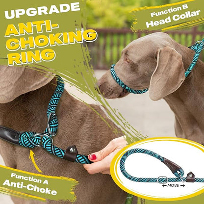 Fida Durable Slip Lead Dog Leash Bulk Pack of 5, Heavy Duty 1/2" x 6 FT Comfortable Strong Rope Slip Lead for Large, Medium & Small Dogs No Pulling Pet Training Leash with Highly Reflective (Blue)