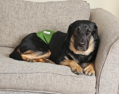 Pet Parents® Washable Belly Bands for Male Dogs (3pack) + Extendrs® of Durable Dog Diapers Male, Premium Male Dog Diapers & Dog Wraps (Large, Gentlemen)