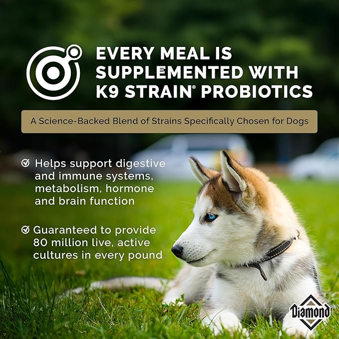 Diamond Puppy Dry Dog Food 31/20 for All Life Stages Including Puppies and Pregnant and Nursing Adult Dogs 6lb Bag