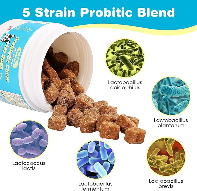 Probiotics for Dogs, Dog Probiotics for Diarrhea & Bowel Support, Digestive Enzymes Promotes Gut Health, Immunity Health & Itch Relief, Prebiotics and Probiotics (Chicken)