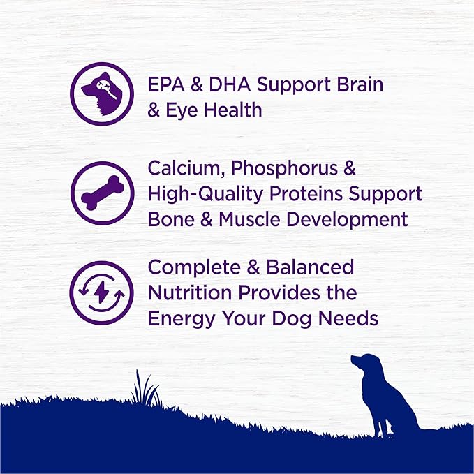 Wellness Complete Health Large Breed Adult Dry Dog Food, Wholesome Grain Kibble, Natural, Chicken, Oatmeal, and Salmon Recipe, 30 lb Bag
