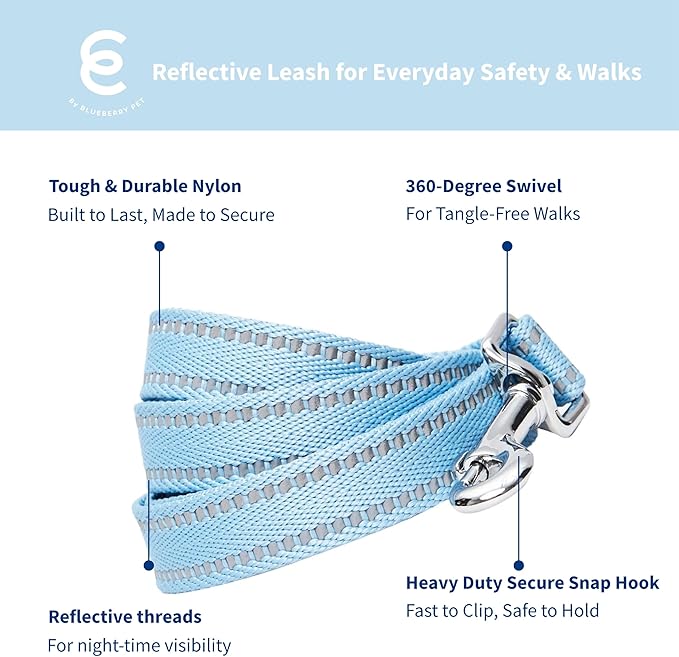 Blueberry Pet Dog Leash & Collar Set - Puppy Essentials, Gentle Leader for Dogs, Adjustable for Small Dogs, Reflective Safe Walking Gear, Fashion for Girl Dog Owners, Heavy Duty Leashes