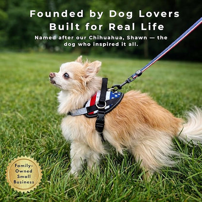 ShawnCo Essential Dog Harness, No-Pull Pet Vest with 3 Leash Clips, No Choke, Reflective, Adjustable and Padded, for Easy Walking and Training for Small, Medium and Large Dogs (Rose Gold, L)