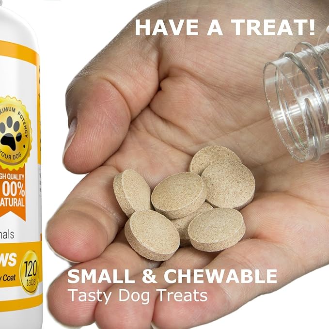 Amazing Omega 3 for Dogs - Omega 3 Fish Oil for Dogs Supplement for Itchy Skin Relief for Dry Skin and Hot Spots and Shedding Coat with EPA and DHA Fatty Acids - 120 Salmon Flavor Chews