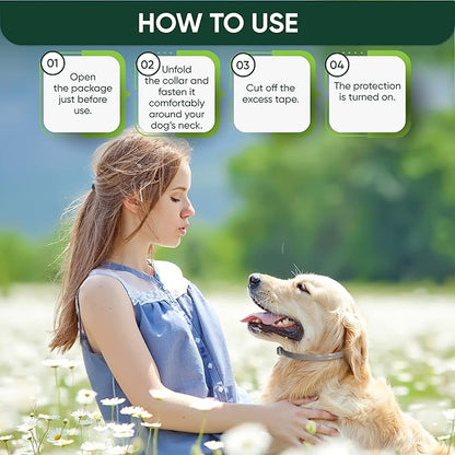 Flea and Tick Prevention Collar for Dogs, Adjustable Dog Flea and Tick Treatment for Puppy, Small, Medium, Large, and Extra Large Dogs, Best Natural Flea and Tick Collars (Gray Collar)