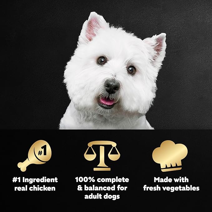 Cesar Wholesome Bowls Adult Wet Dog Food, Chicken, Apple & Sweet Potato Recipe, Wet Food for Dogs, 3 oz. Bowls, 10 Count