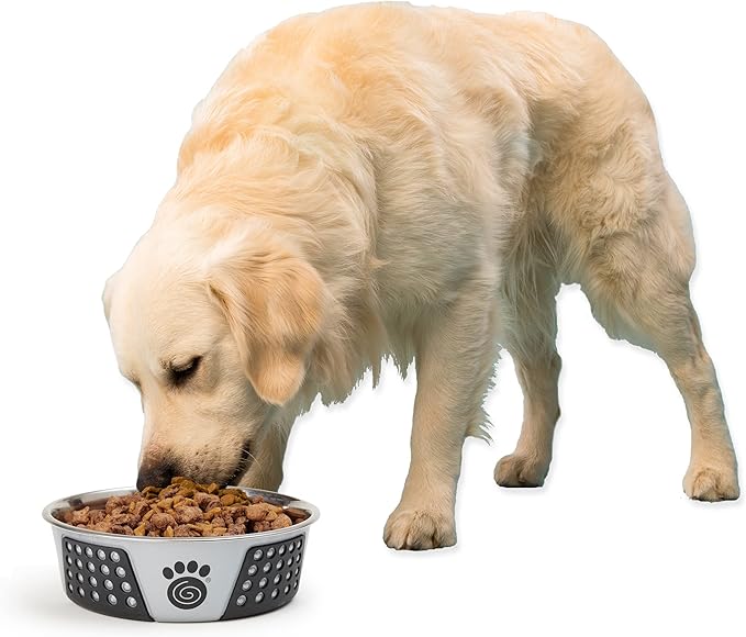 PetRageous 13099 Fiji Stainless Steel Non-Slip Dishwasher-Safe Dog Bowl 6.5-Cup Capacity 8.5-inch Diameter 2.75-inch Tall for Large and Extra Large Dogs, Light Grey and Black
