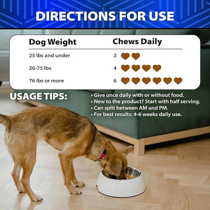Dog Probiotics - 6 Billion CFU - Without Yeast - w/Prebiotics, Enzymes, Pumpkin - Advanced Probiotics for Dogs for Gut & Digestive Health, Seasonal Allergies & Itchy Skin, Yeast Balance - 120 Treats