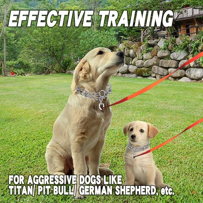 Prong Collars for Dogs, No Pull Dog Collar, Dog Training Collar for Small Dogs, Stainless Steel Adjustable with Comfort Rubber Tips (Small, 2.5mm, 15.6-Inch)