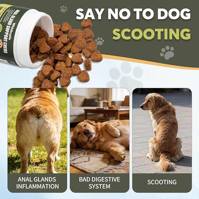 Anal Gland Support Chews, Dog Scoot Treatment with Pumplin Digestive Enzymes Probiotics Fiber for Dogs Digestion and Gut Health Stop Scoot for Dog - 120 Ct (Gland Guard, 120Ct Chicken)
