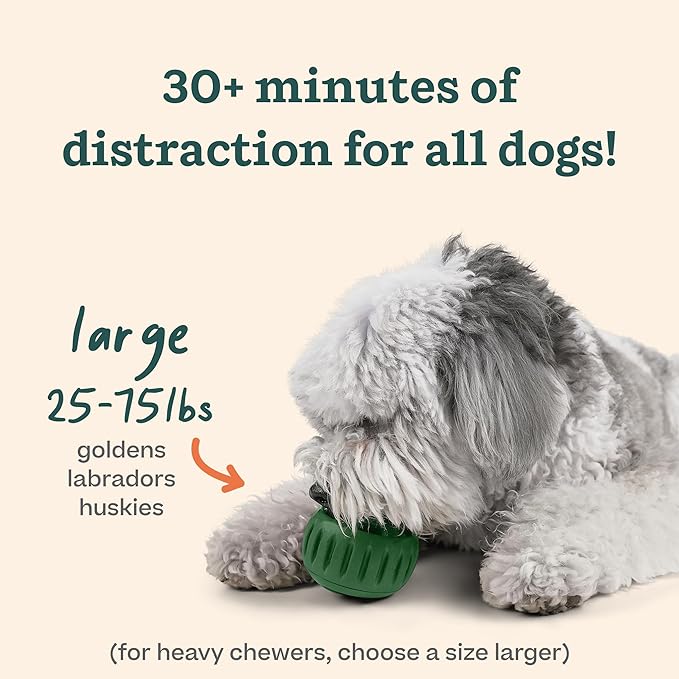 WOOF Starter Pack - Interactive Dog Ball Toy for Boredom - Dog Treat Molds Silicone - Chicken-Flavored Healthy Treats for Dogs - Pupsicle Doggy Enrichment Toy - for Large Pups - 25-75 lbs