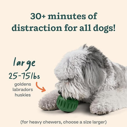WOOF Starter Pack - Interactive Dog Ball Toy for Boredom - Dog Treat Molds Silicone - Chicken-Flavored Healthy Treats for Dogs - Pupsicle Doggy Enrichment Toy - for Large Pups - 25-75 lbs
