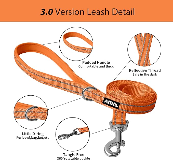 AIITLE Comfortable Dog Harness and Leash Set for Walking - Step in Vest Harness,Reflective Bands, Adjustable No Pull Puppy Essentials, for Small Dogs and House Cats Orange XS