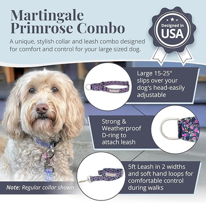 Lucky Love Dog Martingale Dog Collar & Leash - Adjustable, No-Slip, Durable, Comfortable, Soft Webbing, & Stylish Patterned Collar & Leash Set for Male and Female Dogs - Primrose Combo, Large