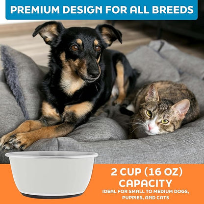 Master Pet Supply Stainless Steel Dog Bowls Set of 2 (16 Oz Each) with Non-Slip Rubber Base - Bone White - Basic Dog Food Bowl Water & Food Bowls for Small Medium Large Dogs & Cats, Metal Dish