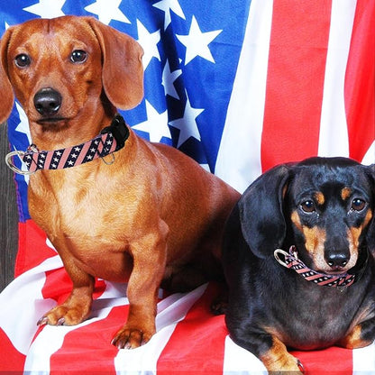American Flag Martingale Collar for Dogs with Buckle 4th of July No Pull Adjustable Nylon Limited Slip Training Dog Collars (Navy Blue Flag, Medium)