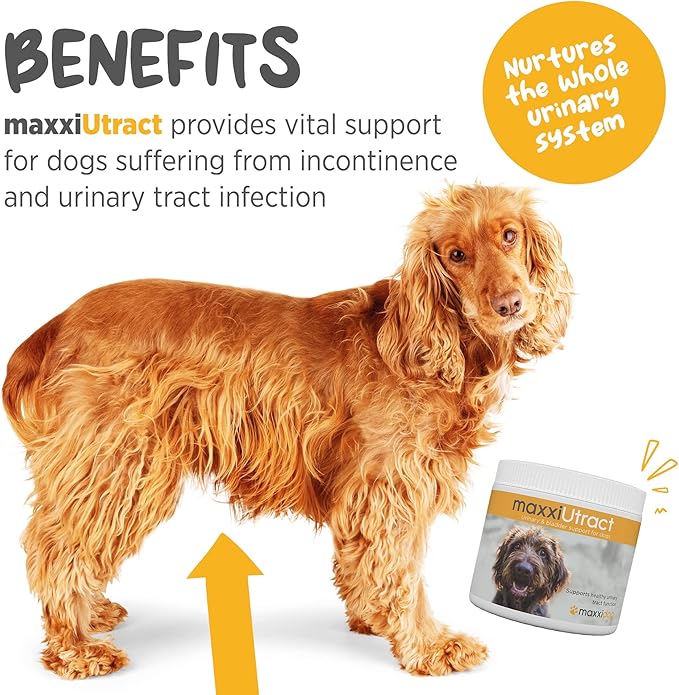 maxxiUtract Urinary & Bladder Support for Dogs – Natural Powder Supplement for Urinary Tract Health, Bladder Comfort & Ongoing Urinary System Support – D-Mannose & Cranberry Formula - 5.3 oz