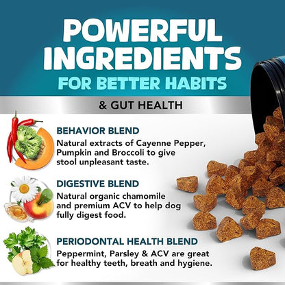 Kinpur Pet Care Dog Behavior Chews with Digestive Enzymes and Probiotics for Gut Health, Yeast Balance, Itchy Skin, Allergies, Immunity - Delicious Soft Treats for All Breeds (120)