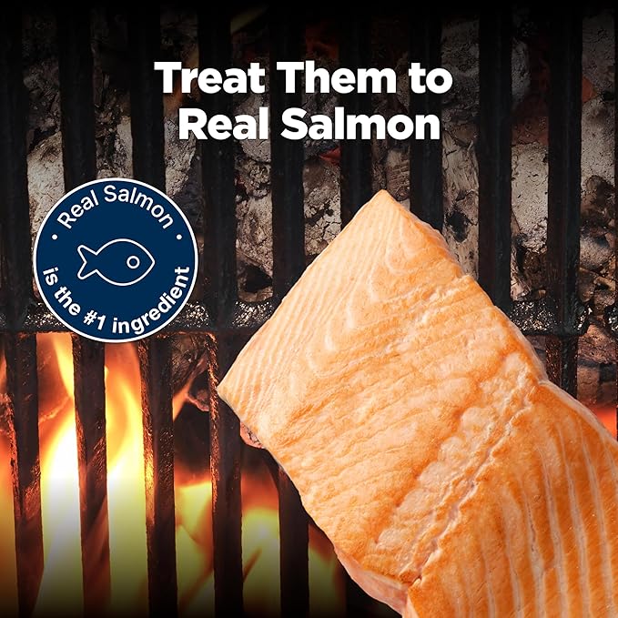 Blue Buffalo Nudges Grillers Natural Dog Treats, Made in The USA with Real Salmon, 16-oz. Bag