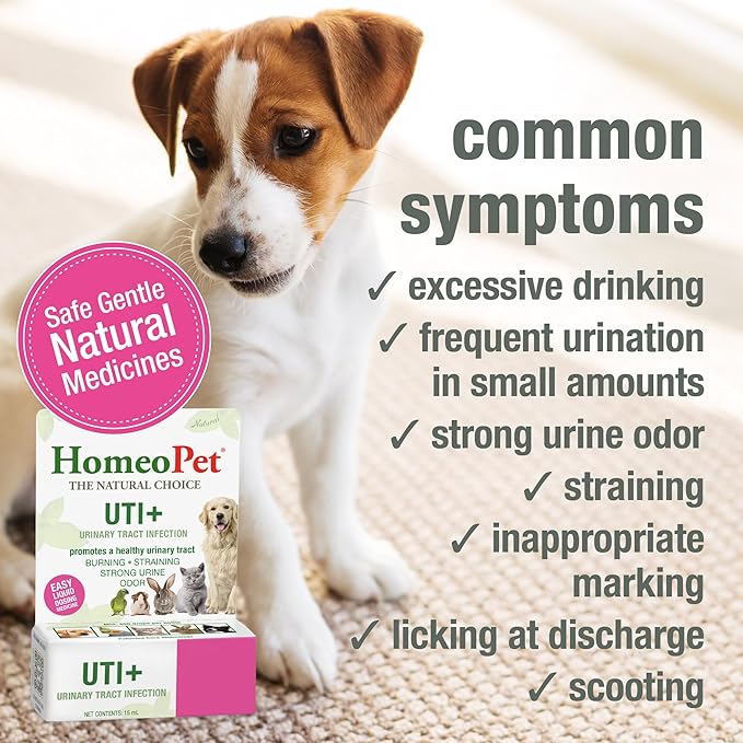 HomeoPet UTI+ Urinary Tract Relief, Safe and Natural Dog and Cat UTI Supplement, 15 Milliliters