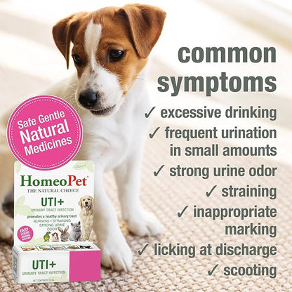 HomeoPet UTI+ Urinary Tract Relief, Safe and Natural Dog and Cat UTI Supplement, 15 Milliliters