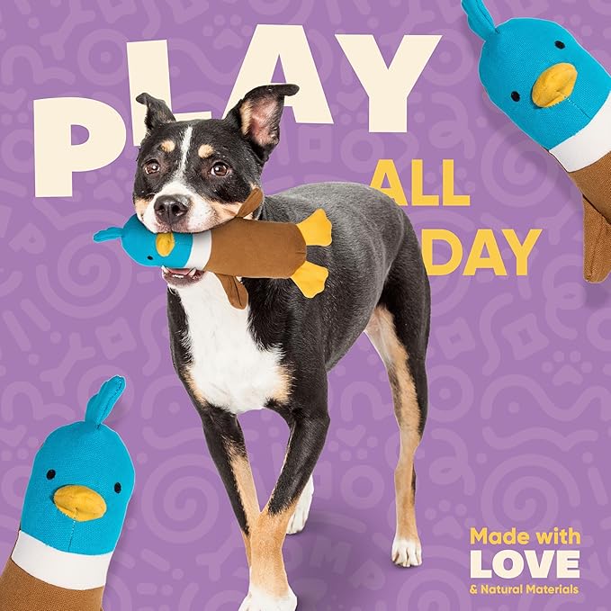 Yomp Plush Duck Dog Toy – Durable Stuffed, No Squeaker Dog Toys with Natural Canvas and Crinkle Paper – Interactive Stuffed Animal for Dogs (Quacker)