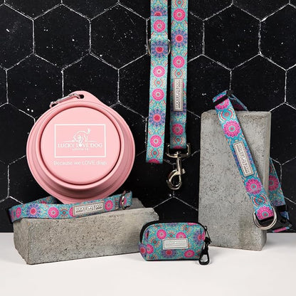 Lucky Love Dog Martingale Dog Collar & Leash - Adjustable, No-Slip, Durable, Comfortable, Soft Webbing, & Stylish Patterned Collar & Leash Set for Male and Female Dogs - Clara Combo, Small
