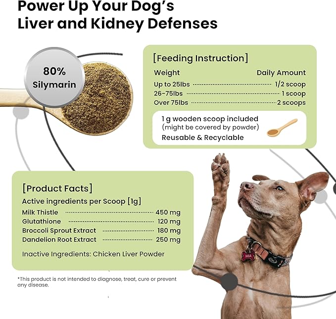 Pawpulse Formula Milk Thistle for Dogs – Liver & Kidney Support Powder with Silymarin & Glutathione – Daily Detox, Antioxidant & Metabolic Natural Support, 2.12 oz