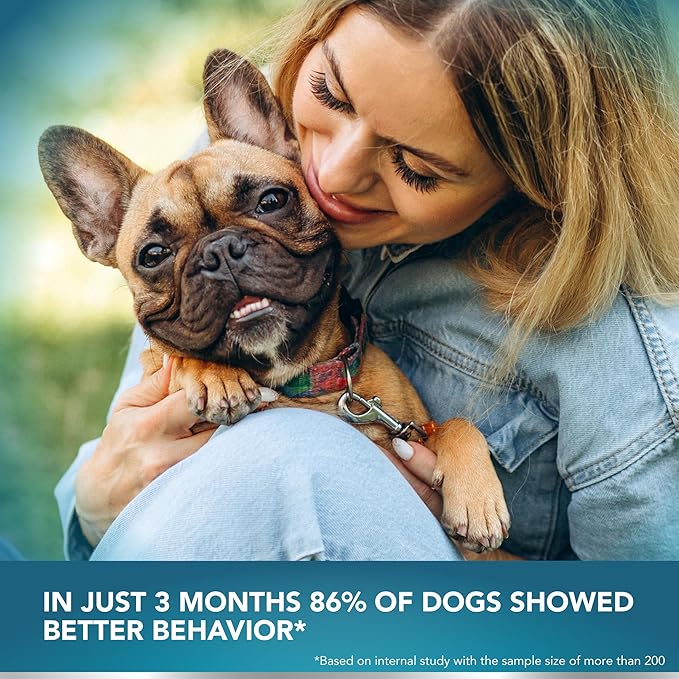 Kinpur Pet Care Dog Behavior Chews with Digestive Enzymes and Probiotics for Gut Health, Yeast Balance, Itchy Skin, Allergies, Immunity - Delicious Soft Treats for All Breeds (120)