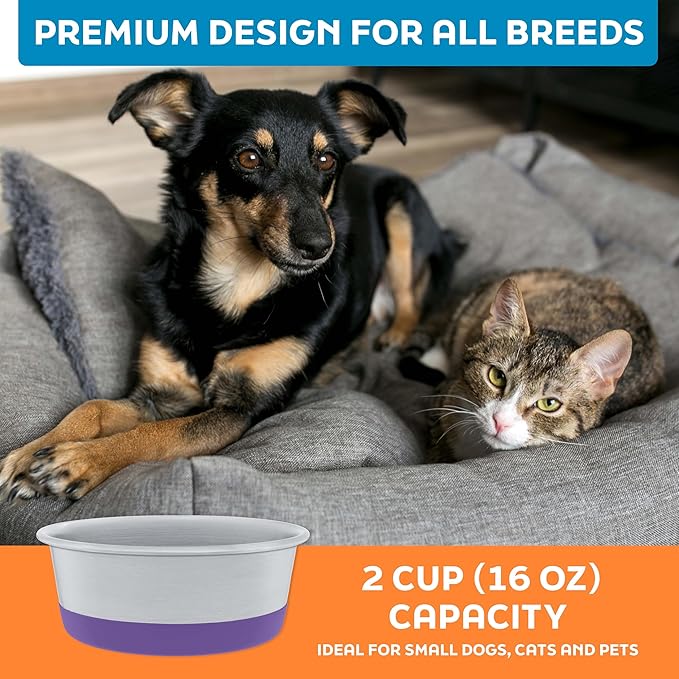 Master Pet Supply Stainless Steel Dog Bowls Set of 2 with Extra Thick Silicone Base - 2 Cup (16 oz) Plum Crazy, Non-Slip, Dishwasher Safe Metal Bowls, Pet Dog Food Bowl for Dogs, Cats, Anti Rust