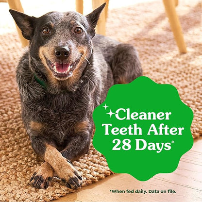 Greenies Veterinarian-Recommended Adult Natural Dental Dog Treats Regular Size, Dog Dental Chews, Original Flavor, 36 oz. Pack, 36 Count