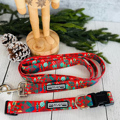 Lucky Love Dog - Easy Click Buckle Dog Collar with Leash Set Combo, Durable & Comfortable for Male & Female Dogs, Pet Collar for Small Dogs, Secure Fit - Fritz Combo, XS