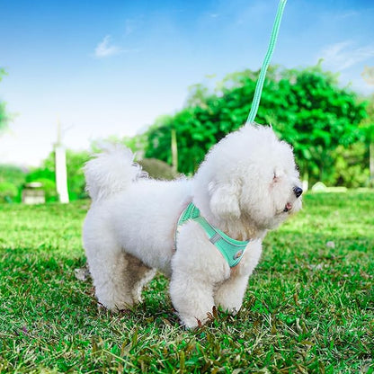 Hipubby Dog Harness and Leash Set, No Pull Soft Mesh Puppy Harness for Small Medium Dogs, Cats - Step in Reflective Breathable Lightweight Vest Harness for Walking, Training - Green, M