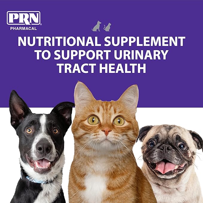 PRN Pharmacal CranMate Cranberry Supplement - Chewable Cranberry Extract - Nutritional Supplements for Dogs & Cats - Urinary Tract Health - Vet Formulated for Pet Urinary Care - 60 Count